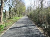 Ausbau + Erneuerung Promenadenweg